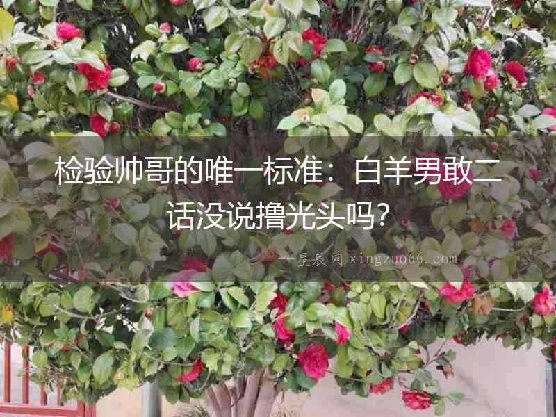 檢驗帥哥的唯一標準：白羊男敢二話沒說擼光頭嗎？