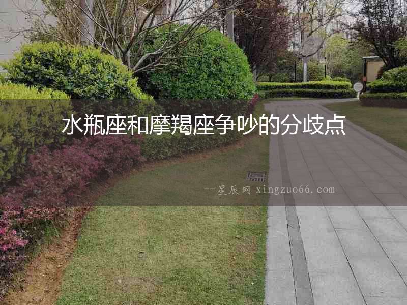 水瓶座和摩羯座爭吵的分歧點