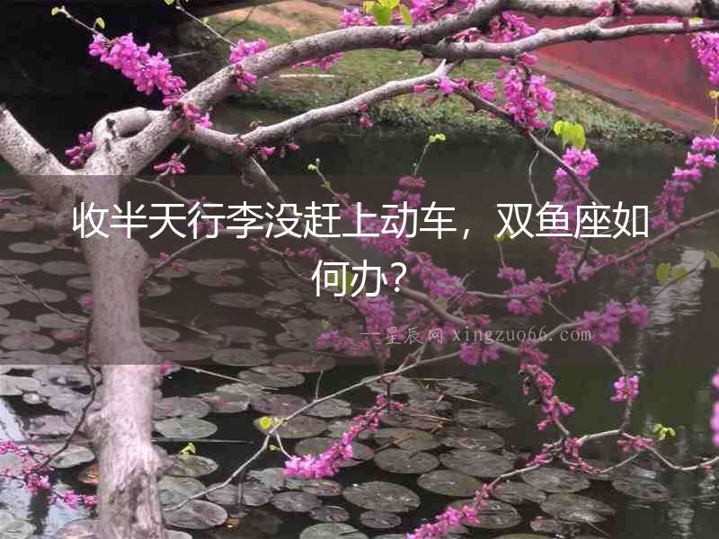 收半天行李沒趕上動車，雙魚座如何辦？