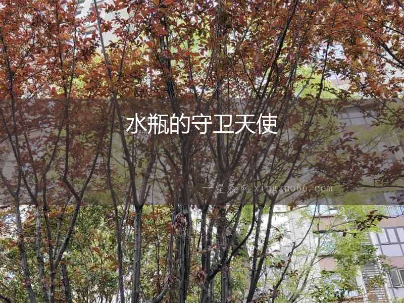 水瓶的守衛(wèi)天使