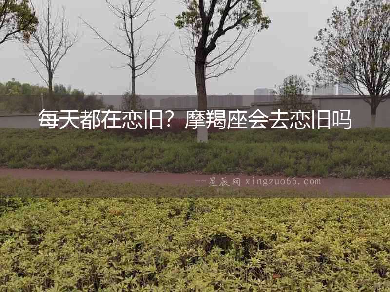 每天都在戀舊？摩羯座會去戀舊嗎