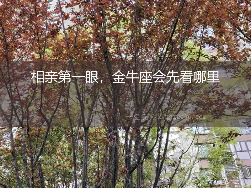 相親第一眼，金牛座會先看哪里