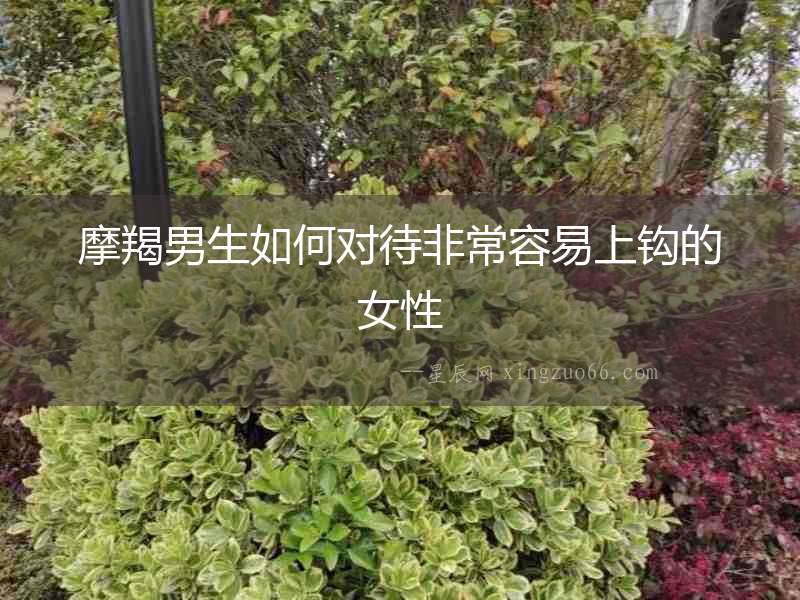 摩羯男生如何對待非常容易上鉤的女性