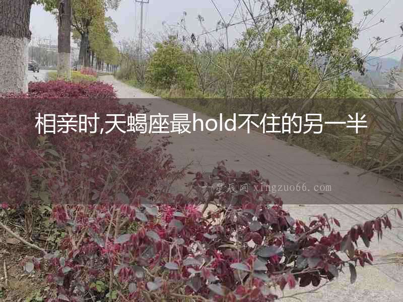 相親時(shí),天蝎座最hold不住的另一半