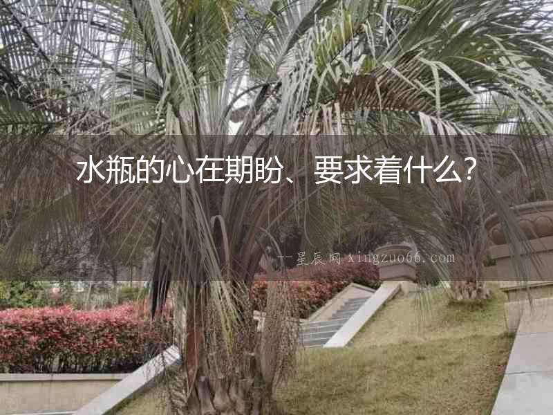 水瓶的心在期盼、要求著什么？
