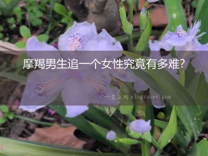 摩羯男生追一個女性究竟有多難？
