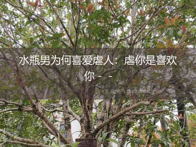 水瓶男為何喜愛虐人：虐你是喜歡你－－