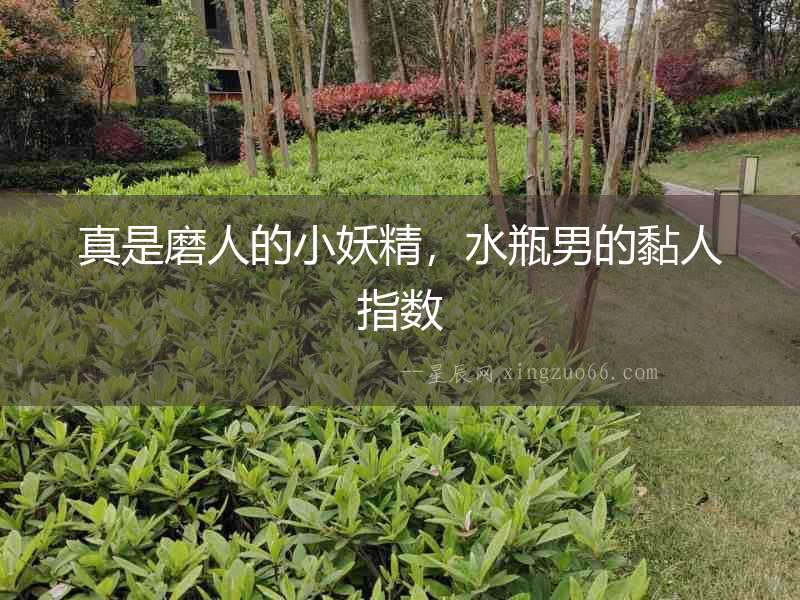 真是磨人的小妖精，水瓶男的黏人指數