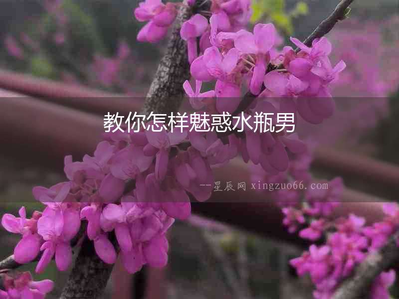 教你怎樣魅惑水瓶男