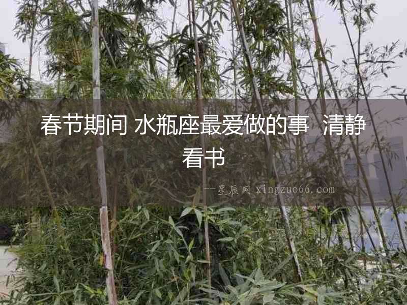 春節期間 水瓶座最愛做的事  清靜看書