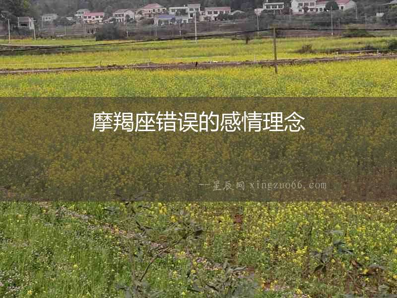 摩羯座錯誤的感情理念