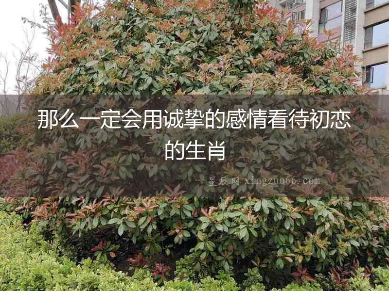 那么一定會用誠摯的感情看待初戀的生肖
