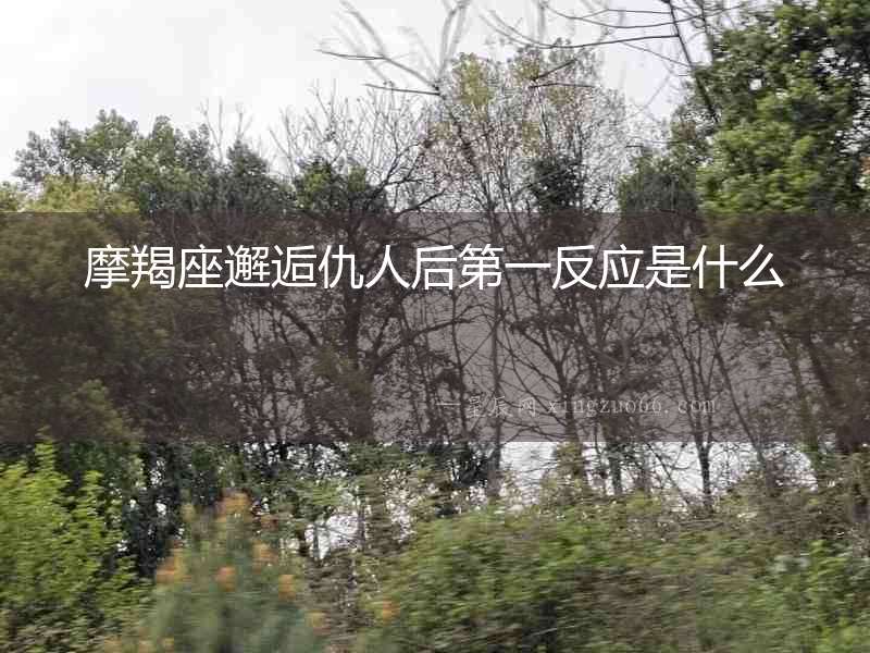 摩羯座邂逅仇人后第一反應是什么