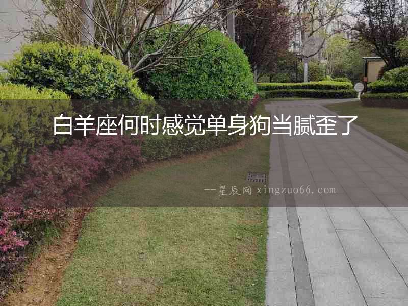白羊座何時(shí)感覺(jué)單身狗當(dāng)膩歪了