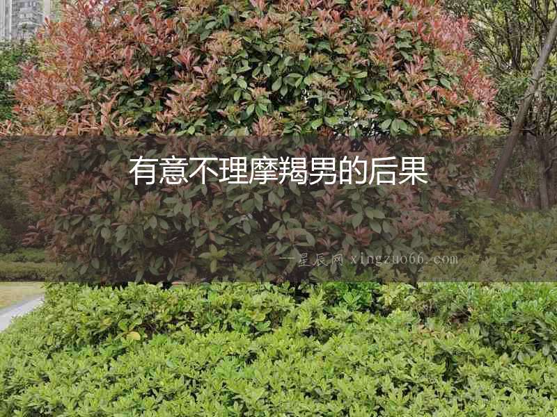 有意不理摩羯男的后果