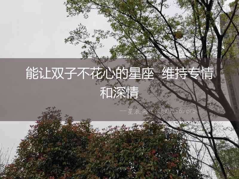 能讓雙子不花心的星座  維持專情和深情