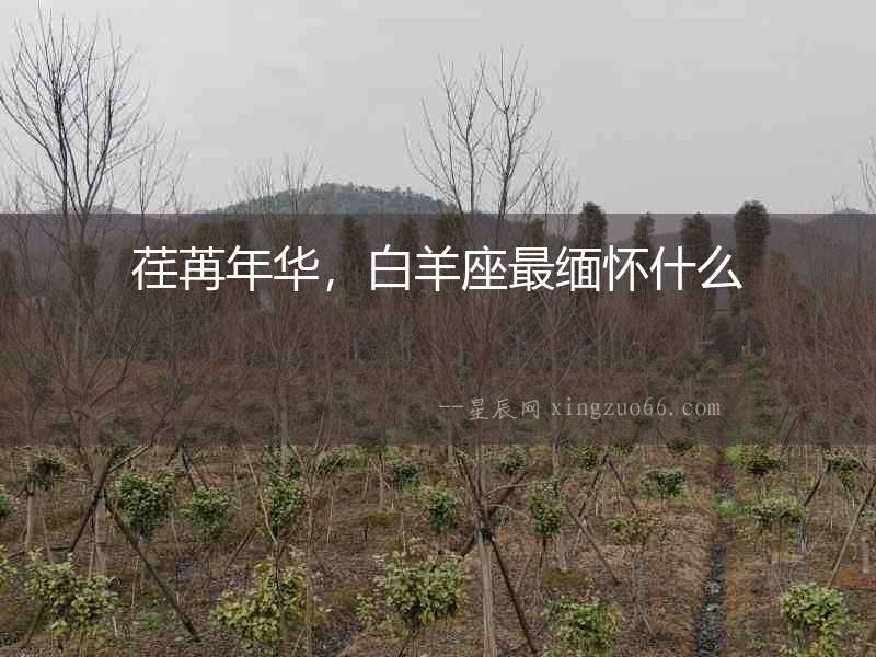 荏苒年華，白羊座最緬懷什么