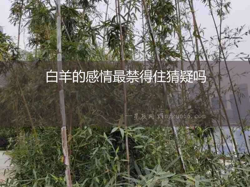 白羊的感情最禁得住猜疑嗎