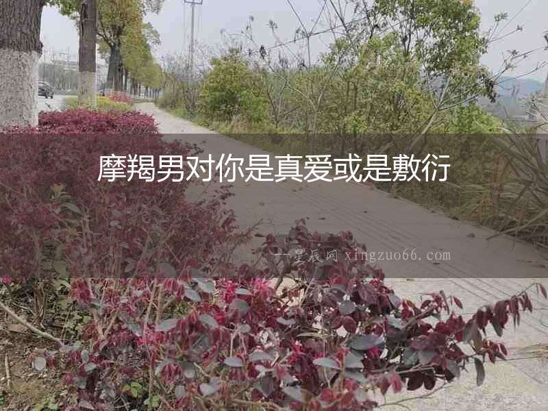 摩羯男對(duì)你是真愛或是敷衍