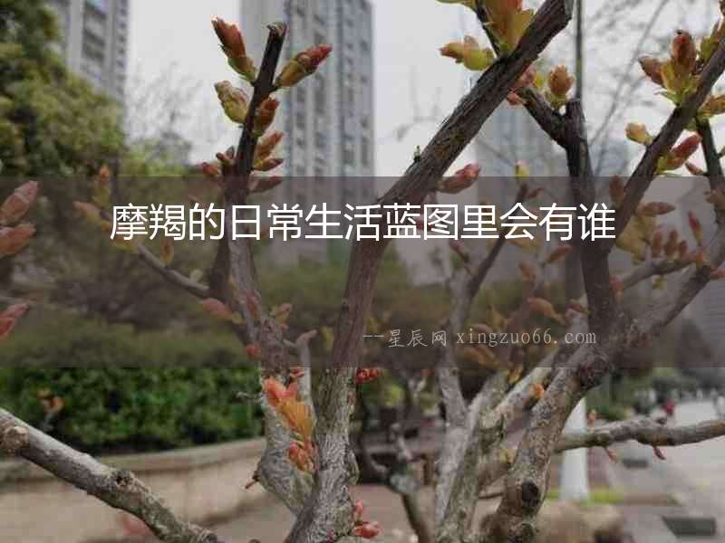 摩羯的日常生活藍圖里會有誰