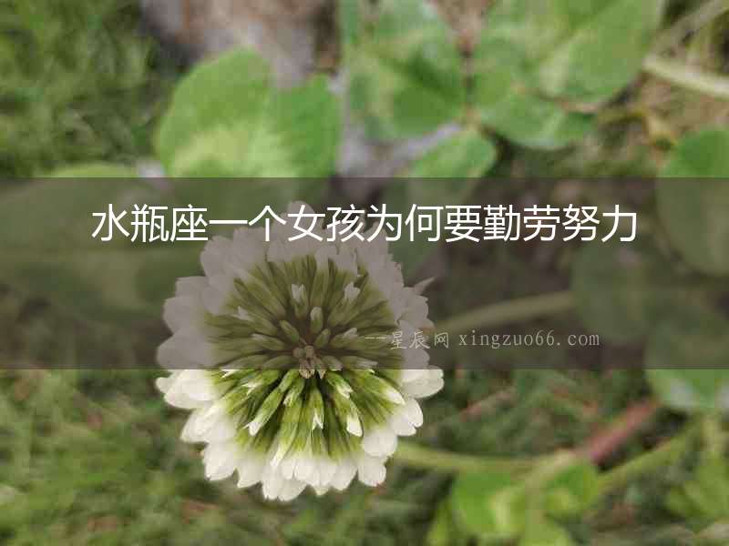 水瓶座一個女孩為何要勤勞努力