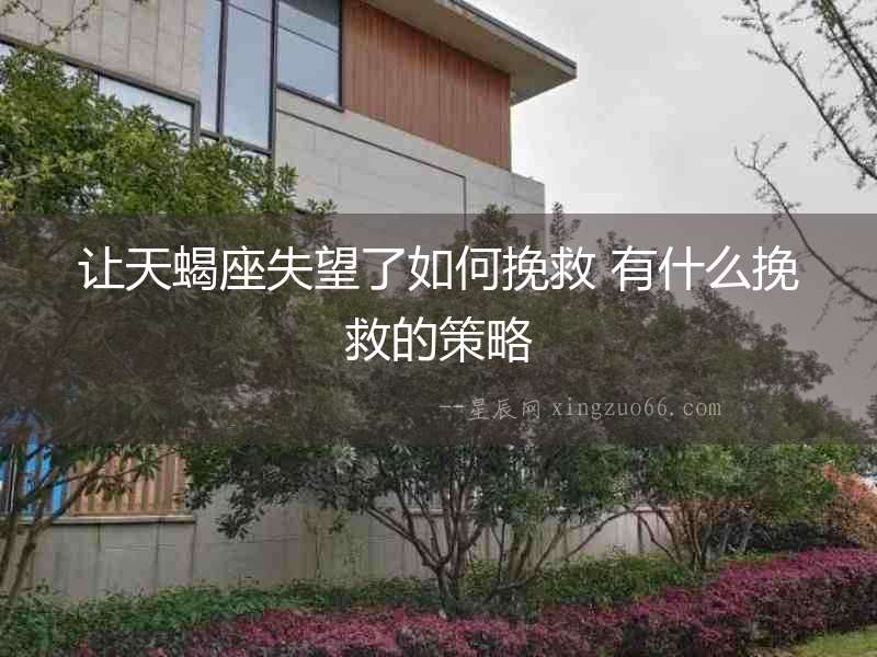 讓天蝎座失望了如何挽救 有什么挽救的策略