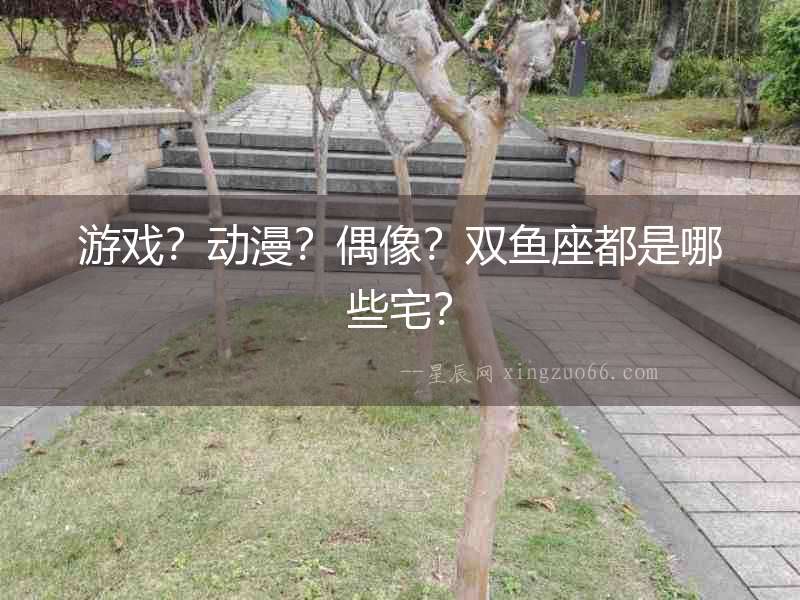 游戲？動漫？偶像？雙魚座都是哪些宅？