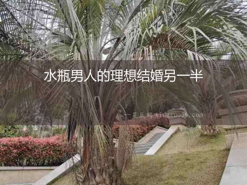 水瓶男人的理想結婚另一半