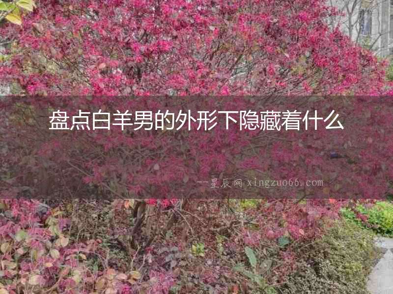 盤點白羊男的外形下隱藏著什么