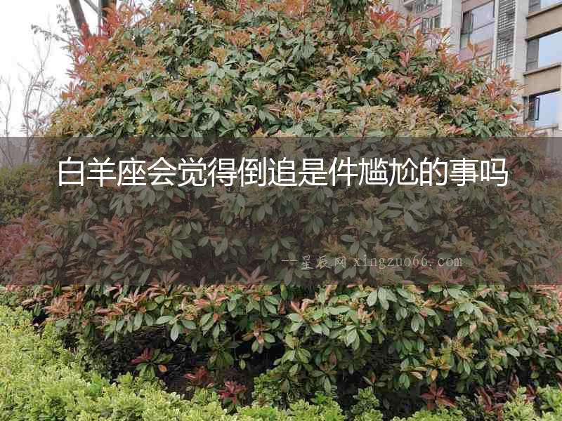 白羊座會覺得倒追是件尷尬的事嗎