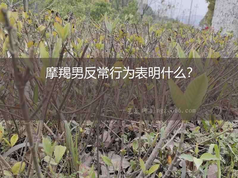摩羯男反常行為表明什么？