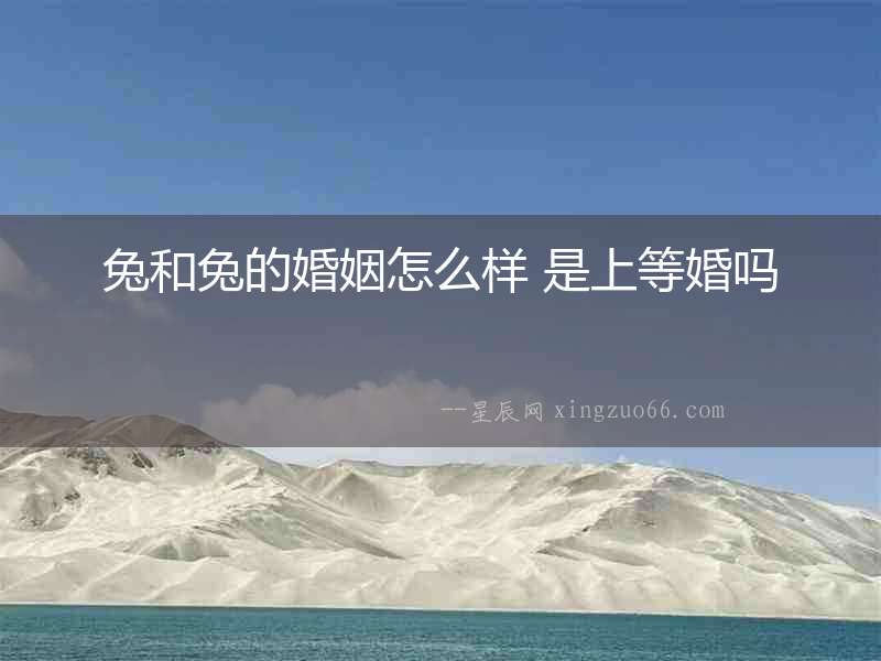 兔和兔的婚姻怎么樣 是上等婚嗎