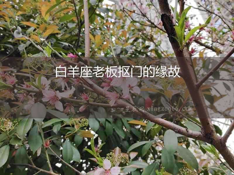 白羊座老板摳門的緣故