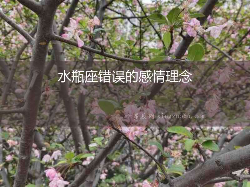水瓶座錯誤的感情理念