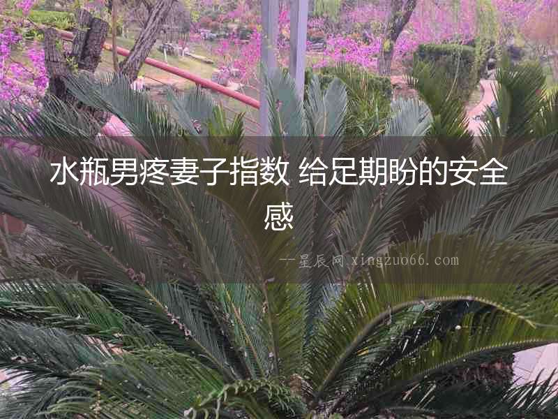 水瓶男疼妻子指數(shù) 給足期盼的安全感