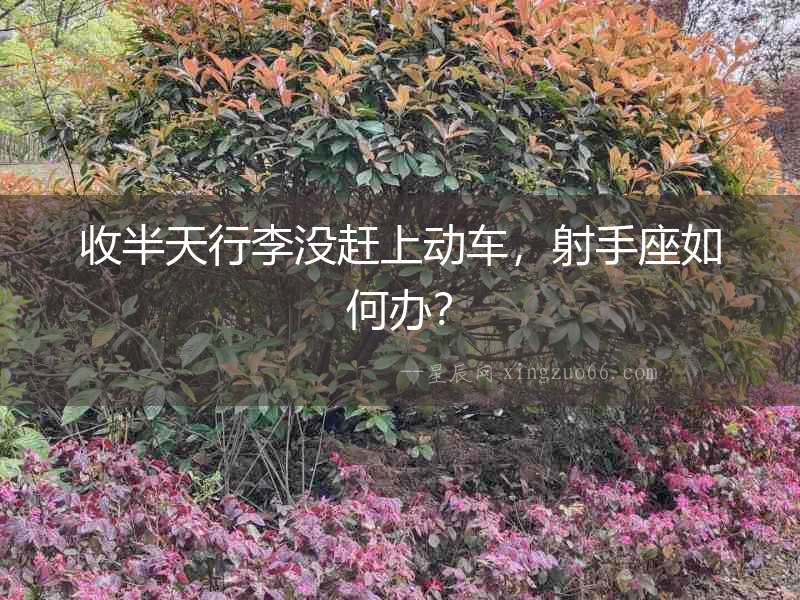 收半天行李沒趕上動車，射手座如何辦？
