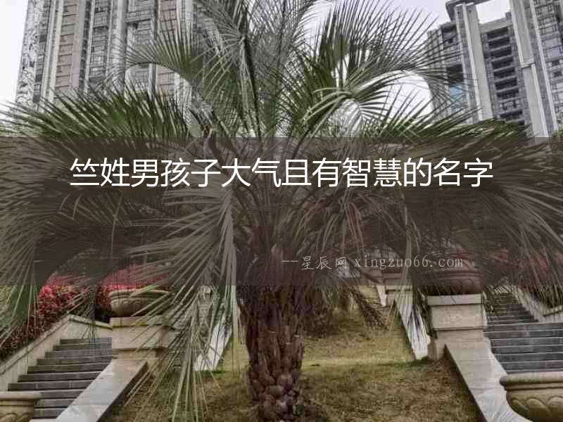 竺姓男孩子大氣且有智慧的名字