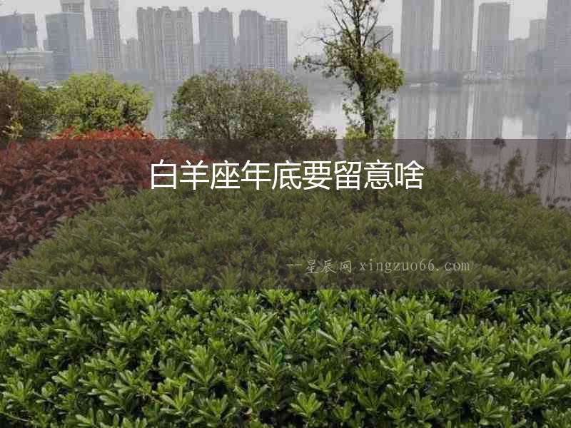 白羊座年底要留意啥