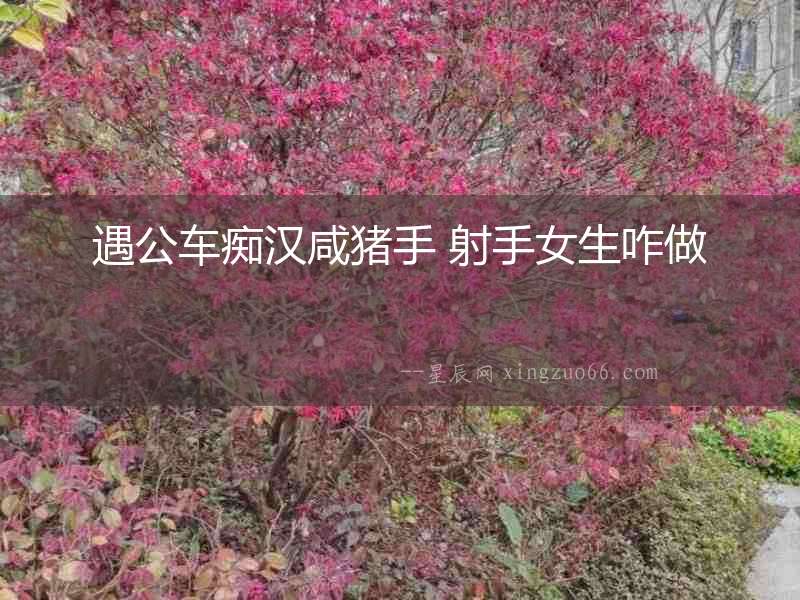 遇公車癡漢咸豬手 射手女生咋做