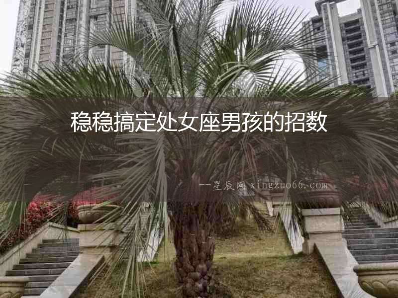 穩穩搞定處女座男孩的招數
