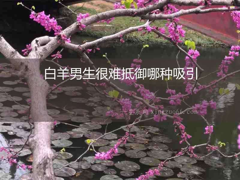 白羊男生很難抵御哪種吸引