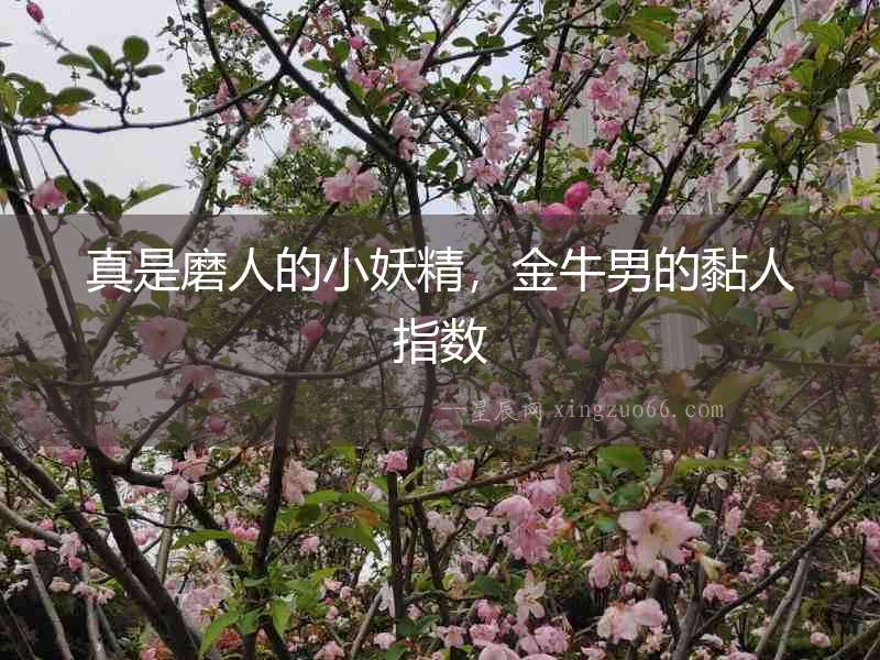 真是磨人的小妖精，金牛男的黏人指數(shù)