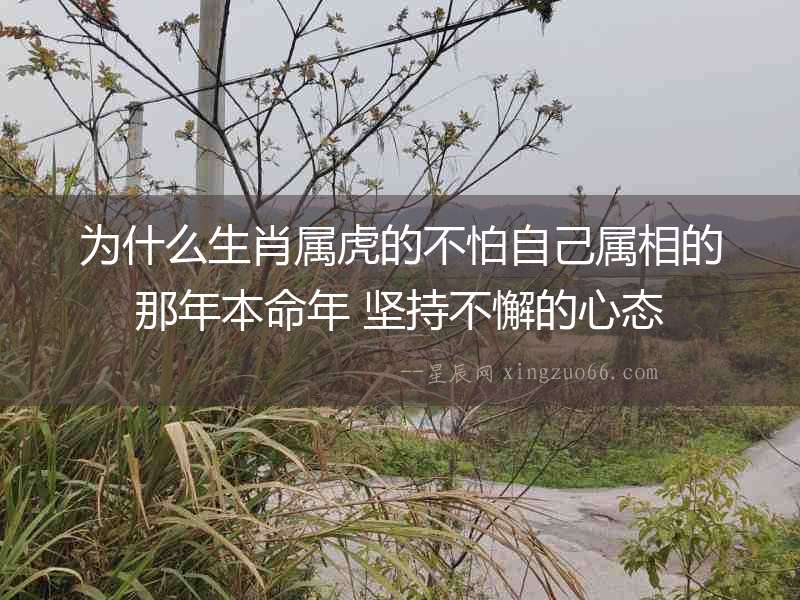 為什么生肖屬虎的不怕自己屬相的那年本命年 堅持不懈的心態(tài)