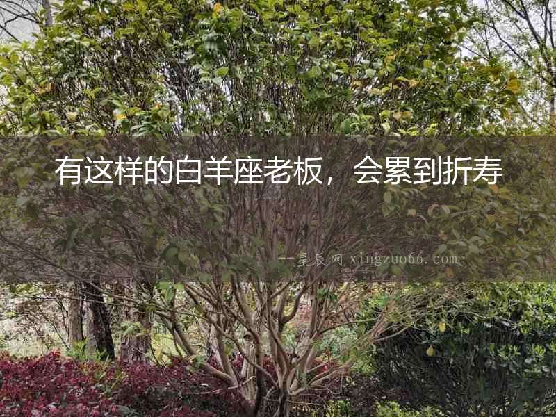 有這樣的白羊座老板，會(huì)累到折壽