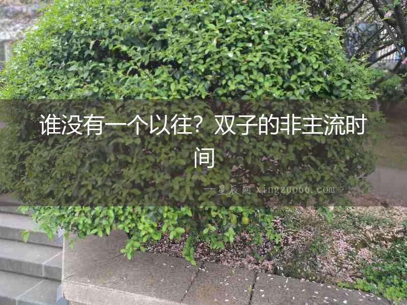 誰沒有一個以往？雙子的非主流時間