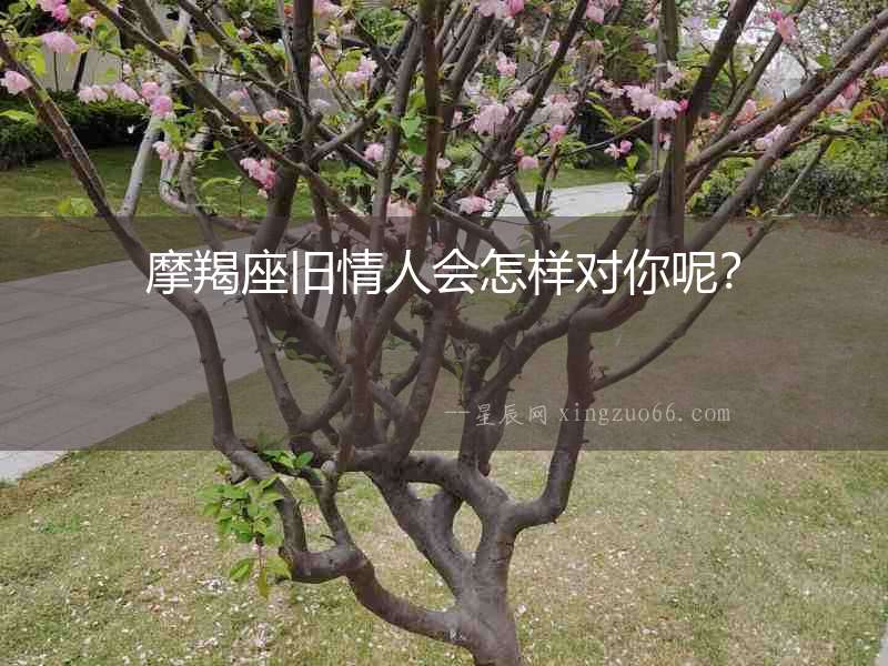 摩羯座舊情人會怎樣對你呢？