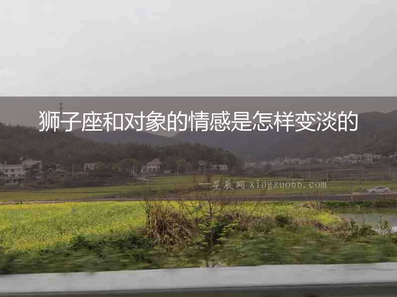 獅子座和對象的情感是怎樣變淡的