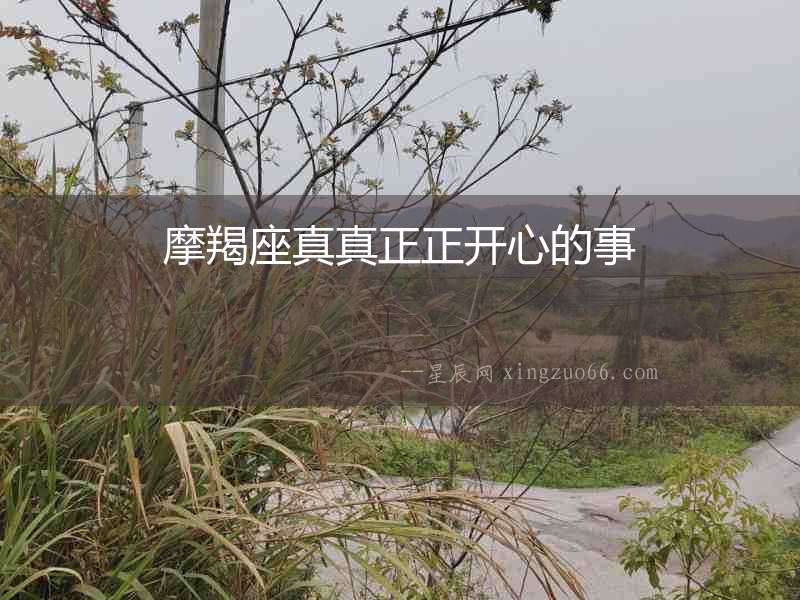 摩羯座真真正正開心的事