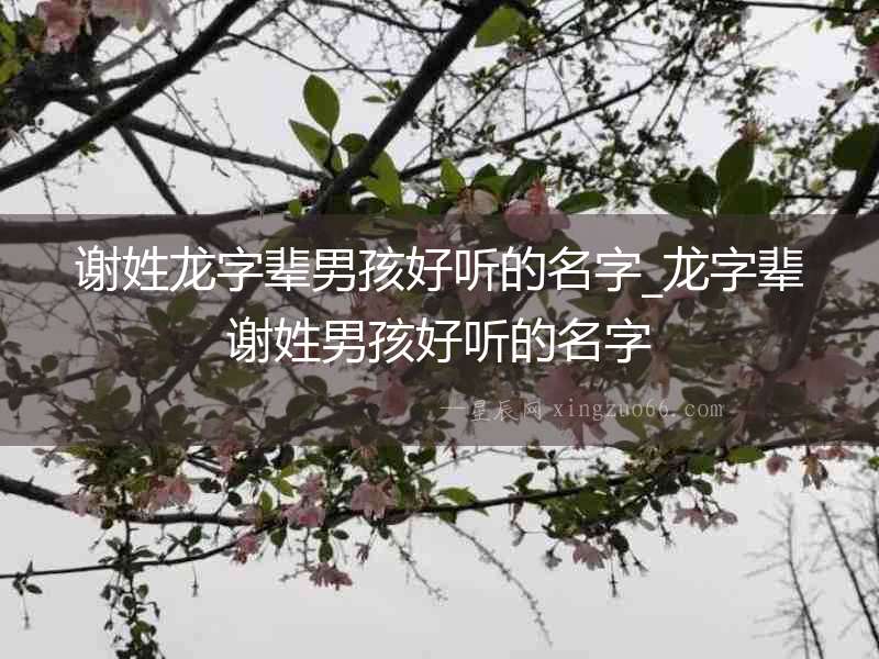 謝姓龍字輩男孩好聽的名字_龍字輩謝姓男孩好聽的名字