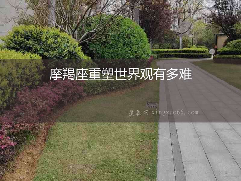 摩羯座重塑世界觀有多難